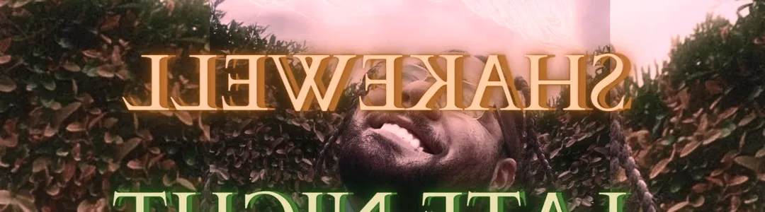 Shakewell